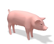 Свиньи 3d модели