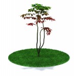 3d модели деревья 3d max