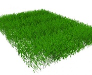 3d модели травы