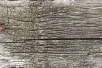 Текстура необработанного дерева