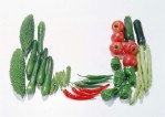 Текстура овощей
