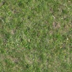 Текстура травы, бесшовные текстуры травы