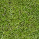 Текстура травы, бесшовные текстуры травы