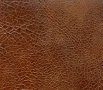 Текстура кожи млекопитающих