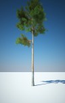 3d модели деревья 3d max