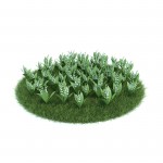 3D растение №14
