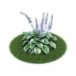 3D растение №28