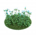 3D растение №36