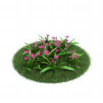 3D растение №43