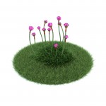 3D растение №5