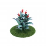 3D растение №50
