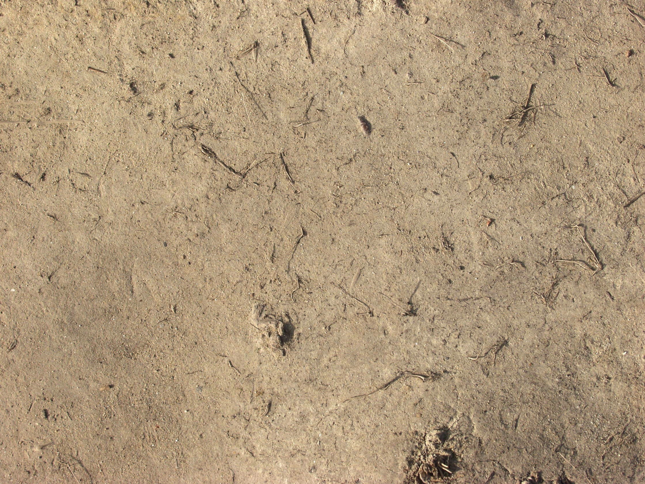 Текстура земли | Текстура грунта | Почва
