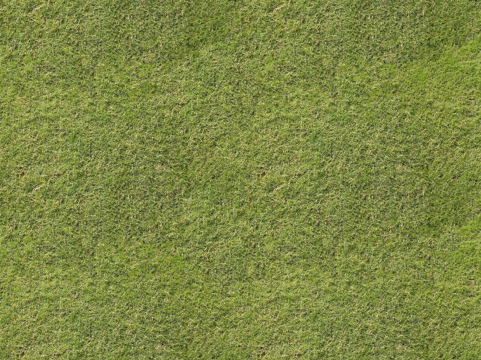 Текстура травы | Бесшовные текстуры травы