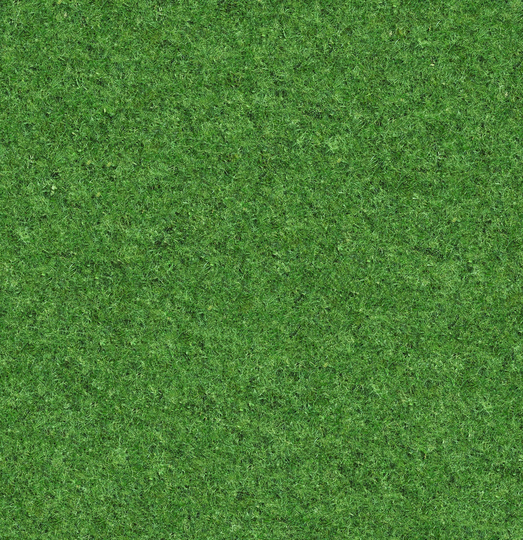 текстура травы из гта 5 фото 86