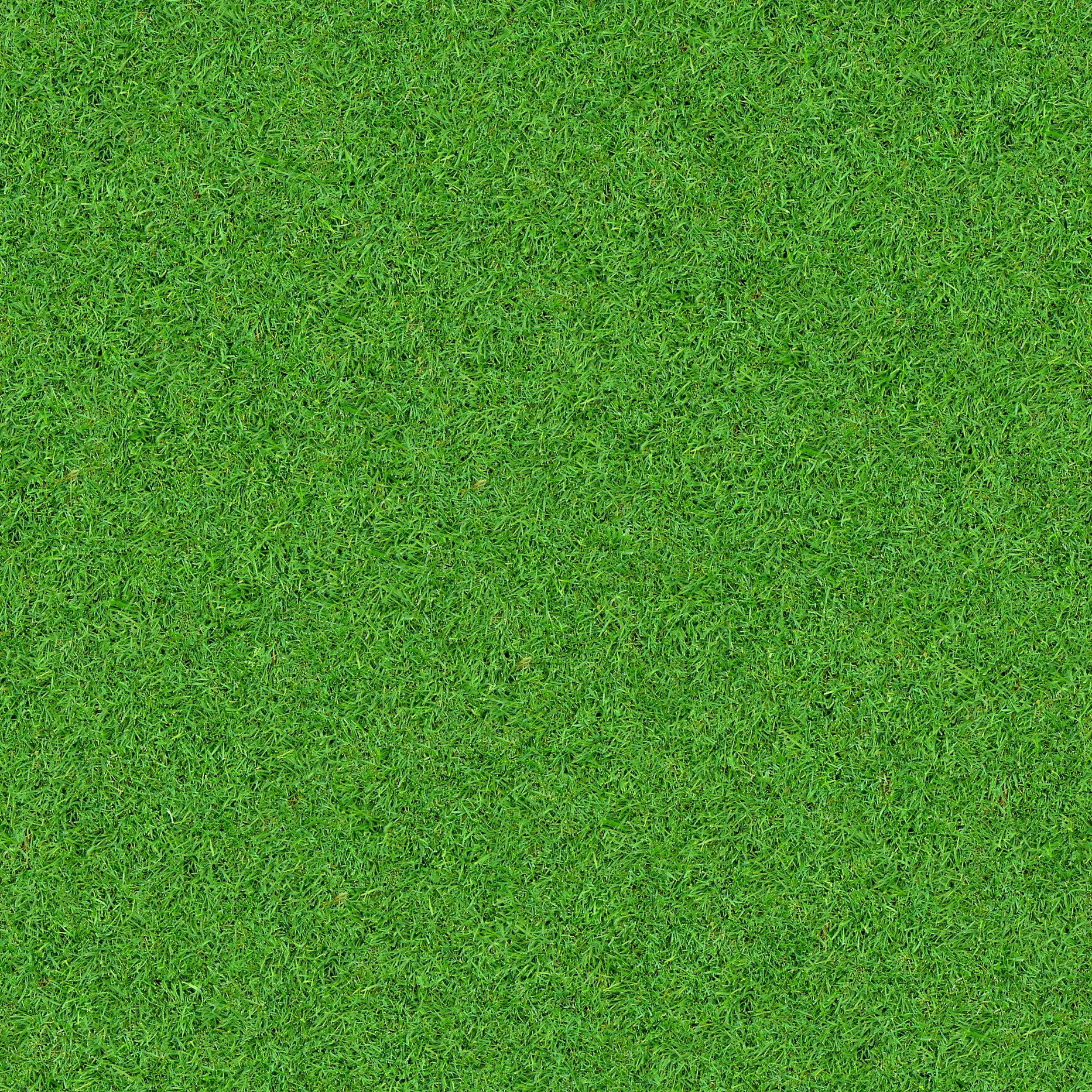 текстура травы из гта 5 фото 56