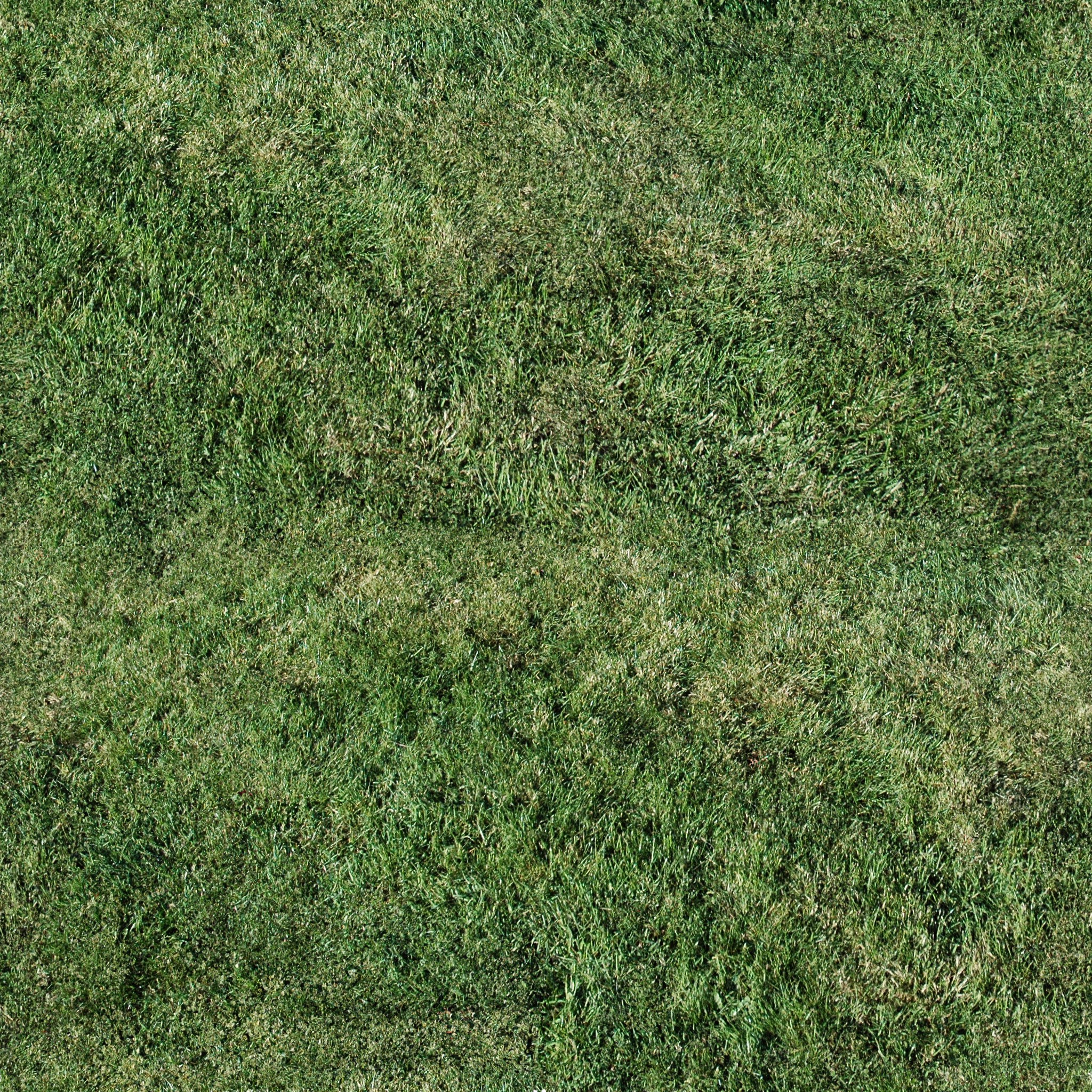 текстура травы из гта 5 фото 99
