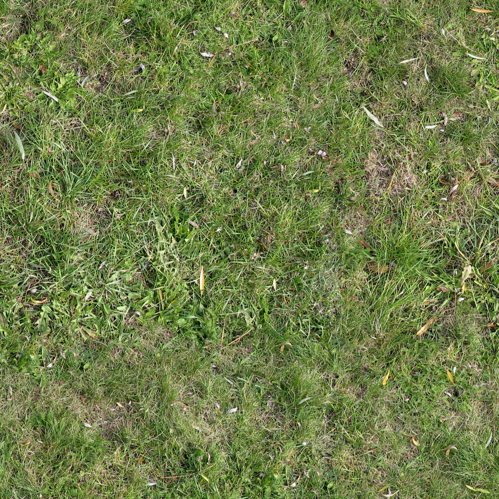 текстура травы гта 5 фото 101