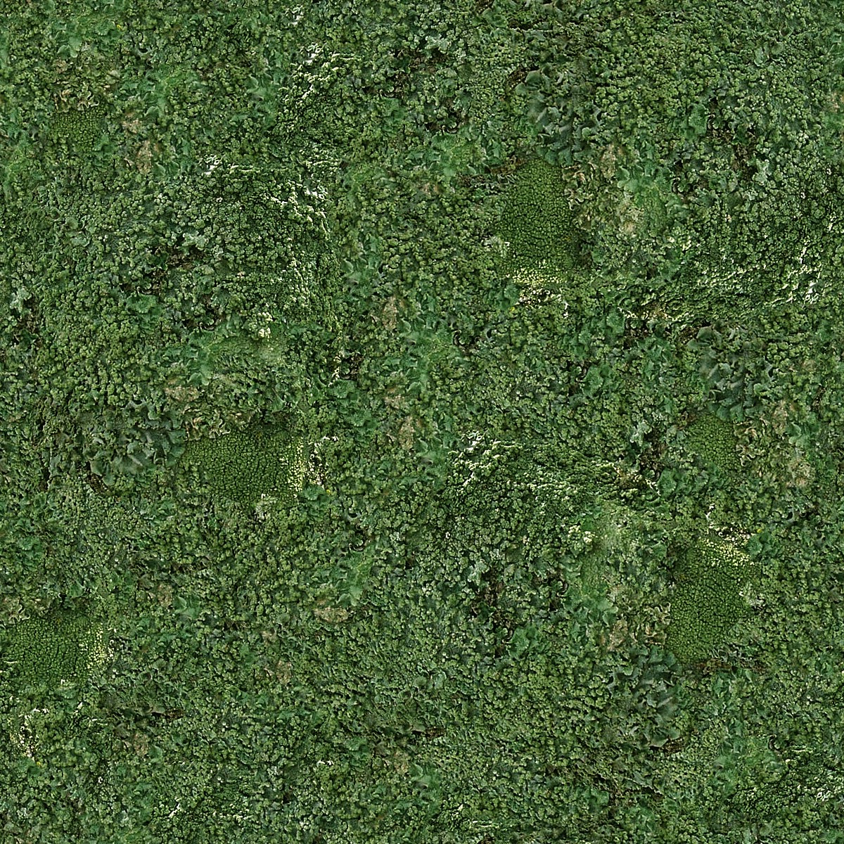 текстура травы гта 5 фото 55
