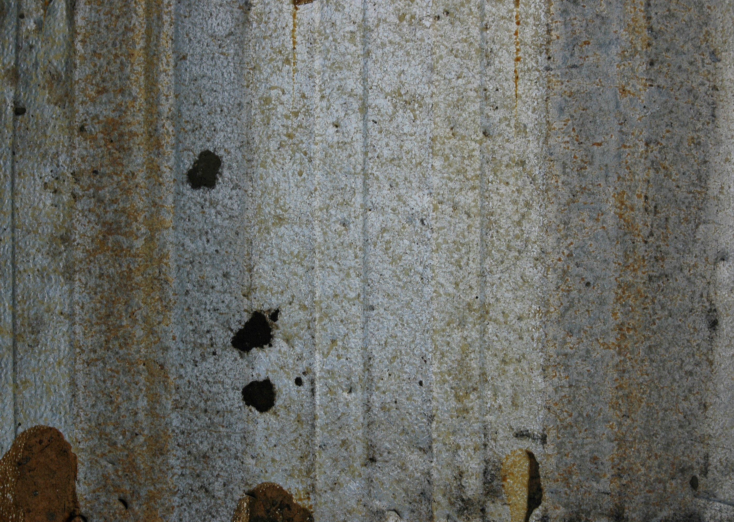 Barren rust max 3 фото 105