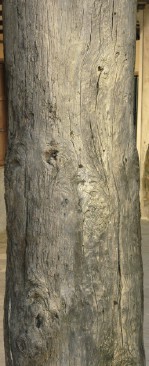 Текстура необработанного дерева
