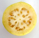 Текстура фруктов