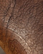 Текстура кожи млекопитающих