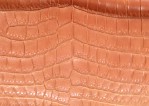 Текстура кожы рептилий