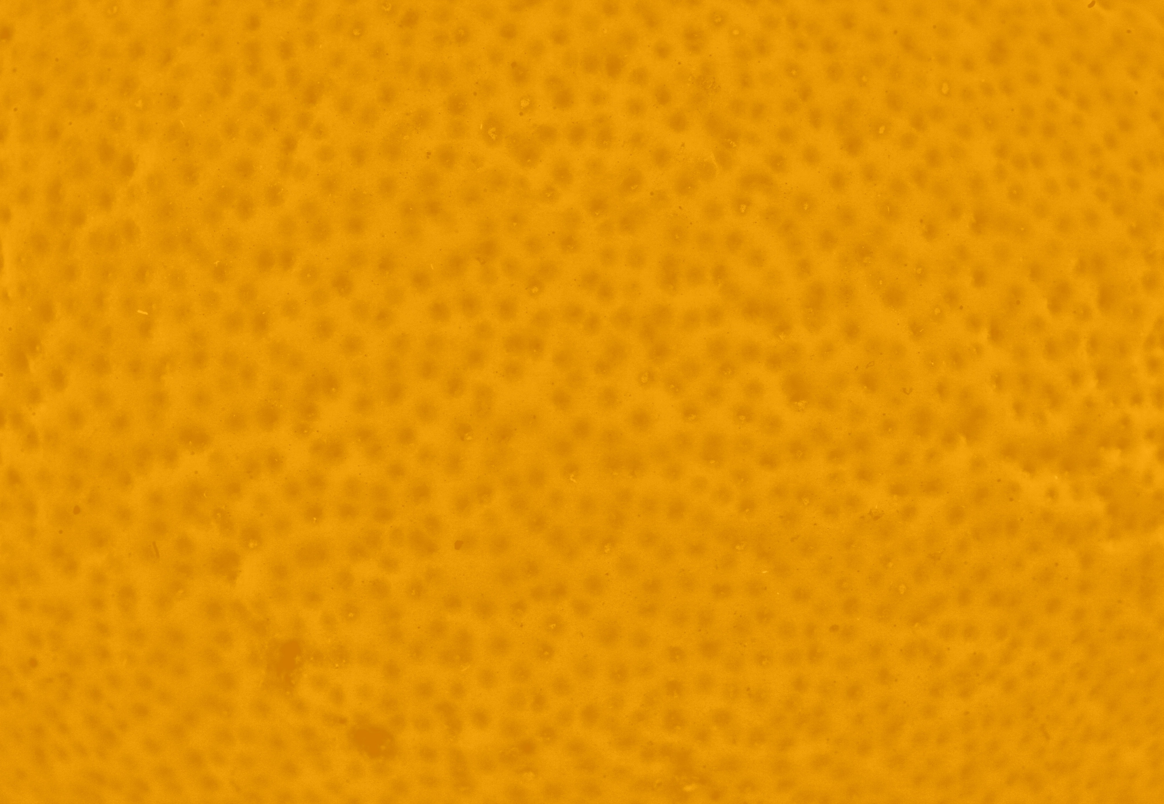 Кожура апельсина текстура