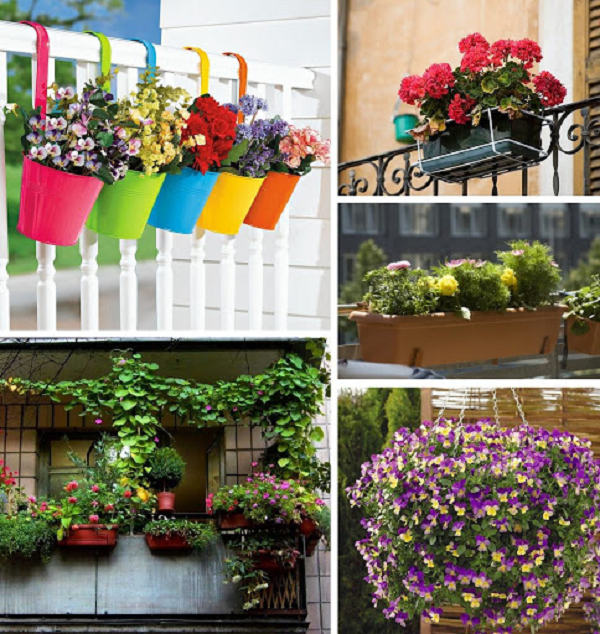 Цветы на балконе: фото дизайна, украшение пространства растениями .